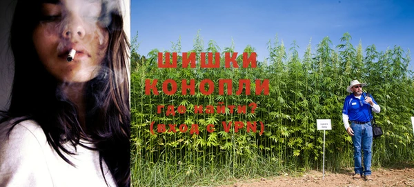 герыч Зерноград
