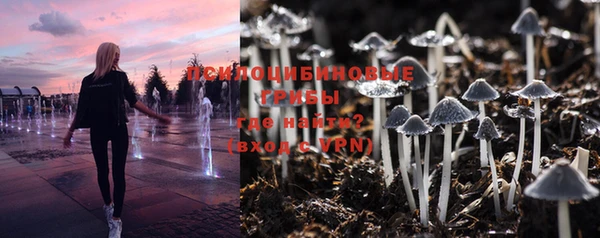 герыч Зерноград