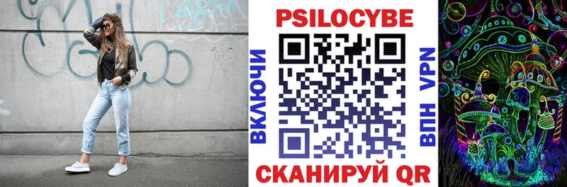 Псилоцибиновые грибы Cubensis  купить наркотики цена  маркетплейс клад  Каргополь 