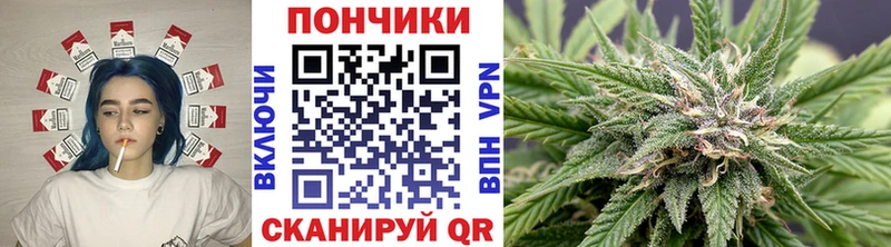 магазин    Каргополь  Конопля AK-47 